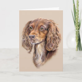 Springer Sprocker Cocker Spaniel Grußkarte Karte