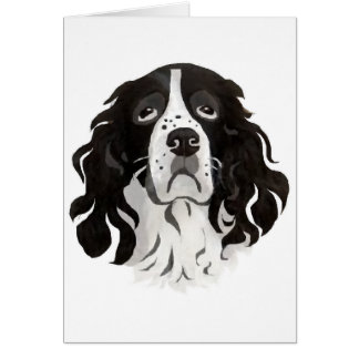 Springergesichtskarte