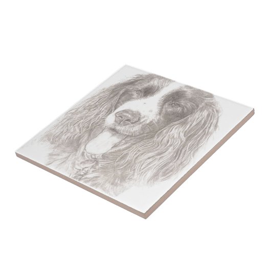 SpringerSpaniel Fliese (Seite)
