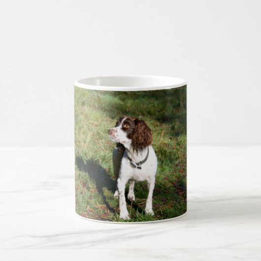 Springerspaniel-HundeTasse Kaffeetasse (Mittel)