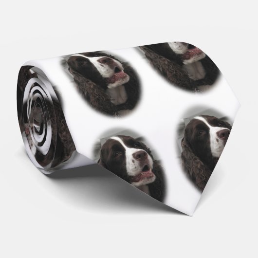 Springerspaniel-Krawatte Krawatte (Gerollt)