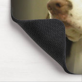Springerspaniel-Mausunterlage Mousepad (Ecke)