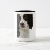 Springerspaniel-Tasse Zweifarbige Tasse (Mittel)