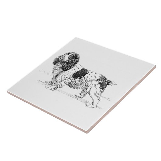 Springerspaniel-Vogel-Jagd-Hundezucht-Zeichnen Fliese (Seite)