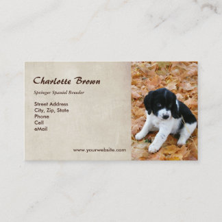 Springerspaniel-Welpe Visitenkarte