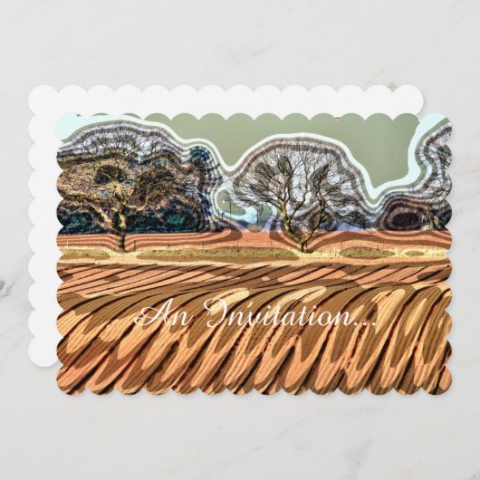 SPRINGFELDER EINLADUNG (Vorne/Hinten)