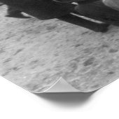 Springfield Auto Race: 1900 Poster (Ecke)