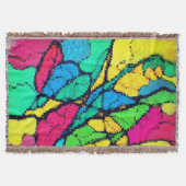 Springfield Decke (Vorderseite)