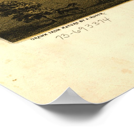 Springfield Illinois (1867) Poster (Ecke)