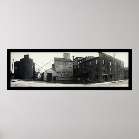 Springfield, Ohio Mills Foto 1908 Poster (Vorne)