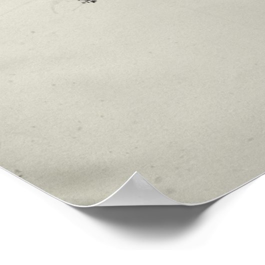 Springfield Poster (Ecke)