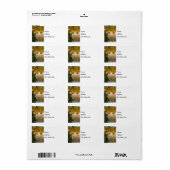 Springfield-See Herbstmarken Adressaufkleber (Vorne)