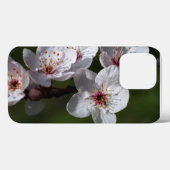 Springflöße für Telefone Case-Mate iPhone Hülle (Rückseite (Horizontal))