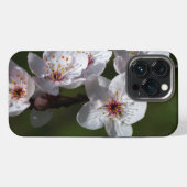 Springflöße für Telefone iPhone Hülle (Rückseite (Horizontal))