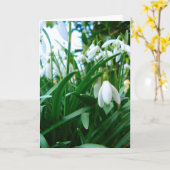 Springing Up Karte (Gelbe Blume)