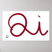 Springkicks Qi Poster (Vorne)