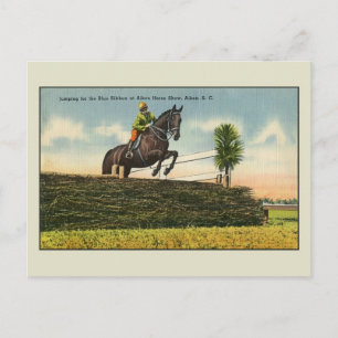 Springpferd Aikin SC im Vintage-Stil Postkarte