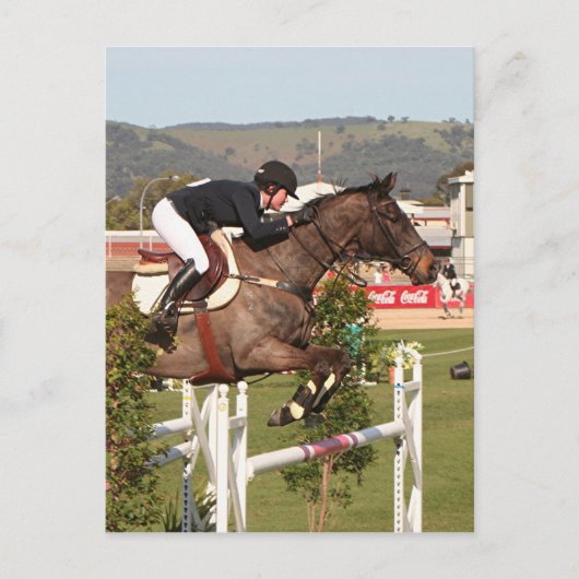 Springreiter und Reiter anzeigen Postkarte (Vorderseite)