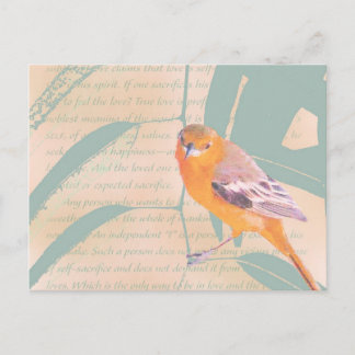 SPRINGSCHRANK POSTKARTE