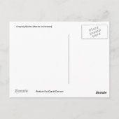 Springspinne (Mavea inclemens) Postkarte (Rückseite)