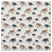 Springspinne Phiddipus Regius White Stoff (Muster)