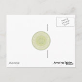 Springspinne Postkarte (Rückseite)