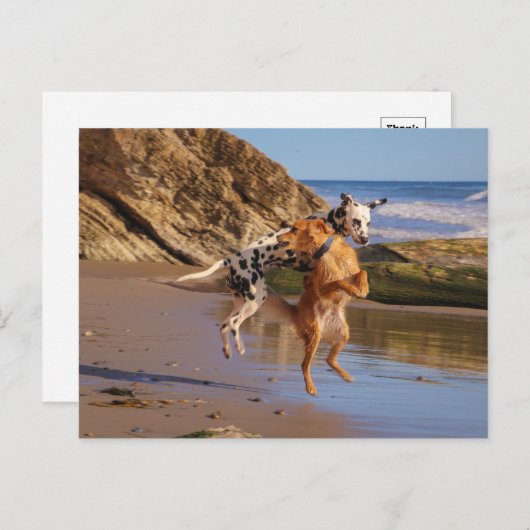 Springt vor Freude! Postkarte (Vorne/Hinten)