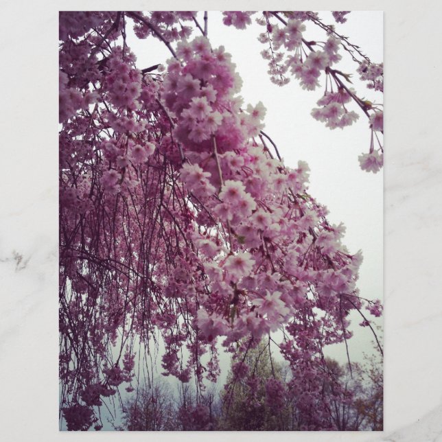Springtime (Vorderseite)