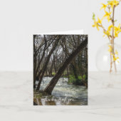 Springtime am Finley River denken Sie an Ihre Kart Karte (Gelbe Blume)