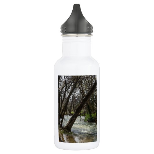 Springtime am Finley River Wasserflasche (Links)