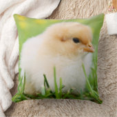 Springtime Baby Chick Kissen (Decke)