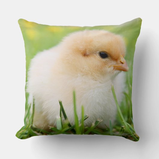 Springtime Baby Chick Kissen (Vorderseite)