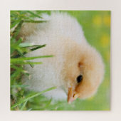 Springtime Baby Chick Puzzle (Horizontal)