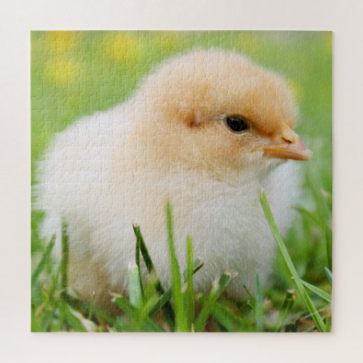 Springtime Baby Chick Puzzle (Vertikal)