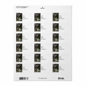 Springtime beim Finley River Address Label Adressaufkleber (Vorne)