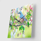Springtime Blue Jay Quadratische Wanduhr (Winkel)