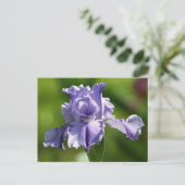 "Springtime Blues" Iris Fotografy Postkarte (Stehend Vorderseite)