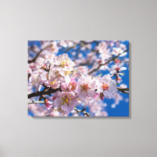 Springtime blüht leinwanddruck