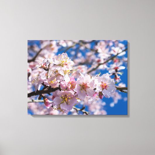 Springtime blüht leinwanddruck (Vorderseite)