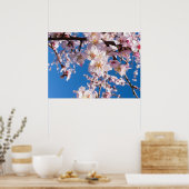 Springtime blüht poster (Küche)