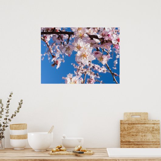 Springtime blüht poster (Küche)