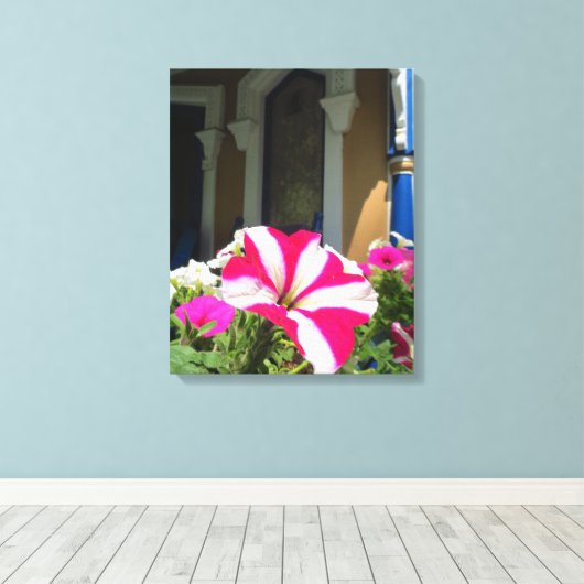 Springtime Blume Box - Martha's Vineyard Leinwanddruck (Insitu (Holzboden))