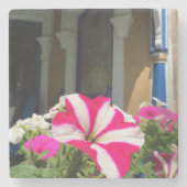 Springtime Blume Box - Martha's Vineyard Steinuntersetzer (Vorderseite)