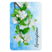 Springtime (Blume von Apfeln) Magnet (Vertikal)