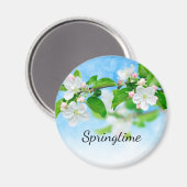 Springtime (Blume von Apfeln) Magnet (Vorderseite/Rückseite)