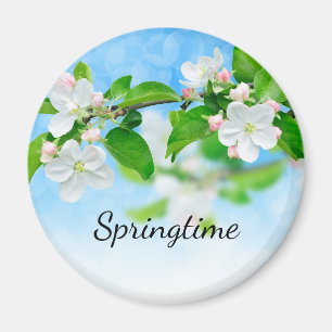 Springtime (Blume von Apfeln) Magnet