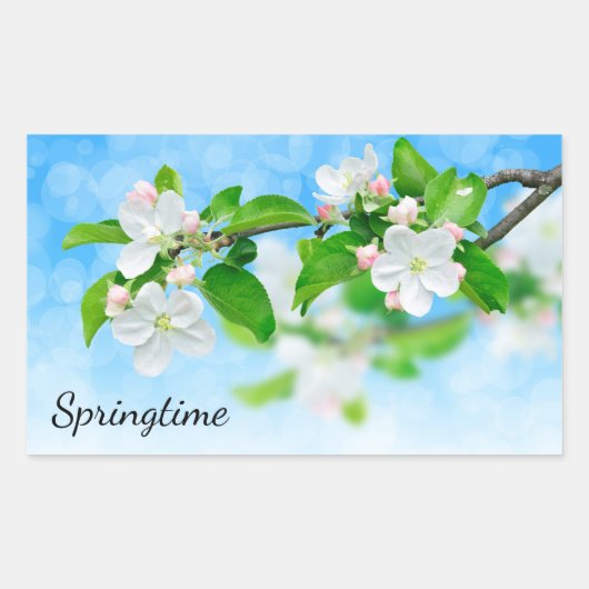 Springtime (Blume von Apfeln) Rechteckiger Aufkleber (Vorderseite)