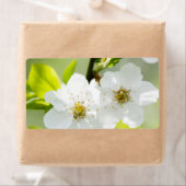 Springtime-Blüte (Insitu)