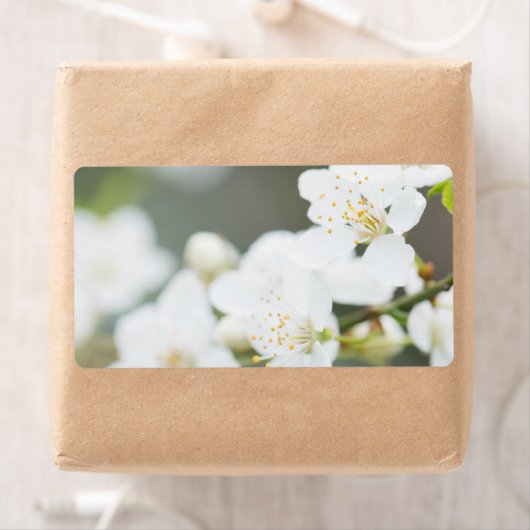 Springtime-Blüte (Insitu)