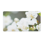 Springtime-Blüte (Vorne)